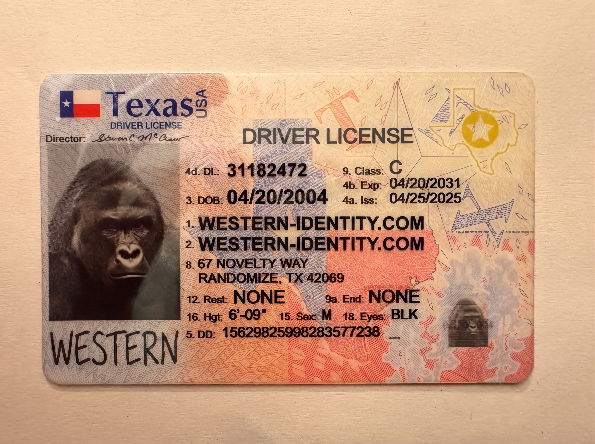 Texas Driver's Lisense 2025